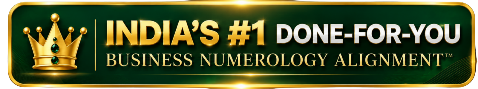 India's #1 Done-For-You Business Numerology Alignment™